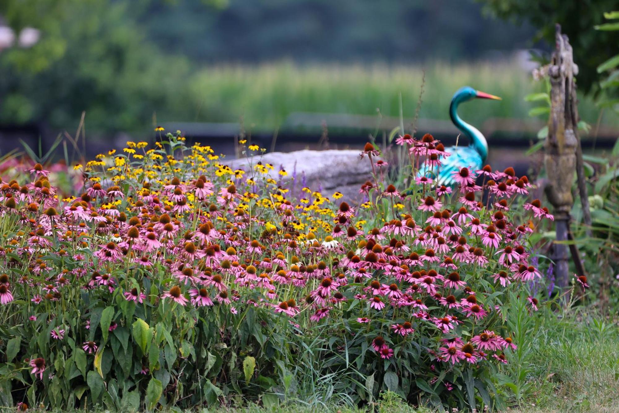 Pheasant Field Bed And Breakfast Carlisle Buitenkant foto